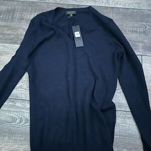 NWT Banana Republic Extra Fine Merino Wool Blue V-Neck Sweater